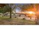 Horses grazing peacefully in a fenced pasture at 4230 Rex Dr, Winter Garden, FL 34787
