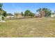 Large backyard with a mostly flat lawn at 164 Brad Cir, Winter Haven, FL 33880