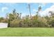 Spacious grassy backyard with lush landscaping and a privacy fence at 936 Jetway Street, Orange City, FL 32763
