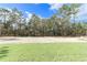 Large backyard with grassy area and natural wooded backdrop at 12707 Sw 78Th Pl, Dunnellon, FL 34432