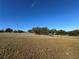 Open pasture with trees and a wire fence at 17901 Coralwood Ln, Groveland, FL 34736