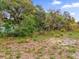 Overgrown vacant lot with sparse grass and trees at 3717 Jericho Dr, Casselberry, FL 32707