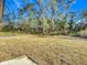 Large backyard with open space and mature trees at 413 Ruby Ave, Deland, FL 32724