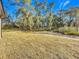 Large backyard with trees and open space at 413 Ruby Ave, Deland, FL 32724