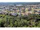 Aerial view of a residential neighborhood with houses, trees, and a lake at 15925 St Clair St, Clermont, FL 34714