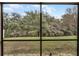 View from screened enclosure showcasing backyard greenery at 15925 St Clair St, Clermont, FL 34714