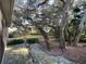 Landscaped backyard with mature trees and stone path at 3663 Lomond Ct, Apopka, FL 32712