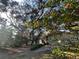 Backyard view showcasing mature trees and citrus fruit tree at 3663 Lomond Ct, Apopka, FL 32712