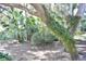 Landscaped backyard with shed and large trees at 3663 Lomond Ct, Apopka, FL 32712