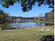 Lush green lawn overlooking calm lake with white birds and trees in background under sunny sky at 800 Lake Marion Dr, Altamonte Springs, FL 32701