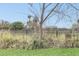 Backyard with tall fence and overgrown plants at 1209 W 6Th St, Sanford, FL 32771