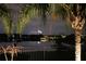 Night view of lake with fireworks behind a metal fence with palm trees in the foreground at 12812 Jacob Grace Ct, Windermere, FL 34786