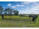 Fenced dog park with grassy area at 13552 Autumn Harvest Ave, Winter Garden, FL 34787