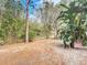 Backyard with bamboo and tropical plants offering privacy at 3054 Shallowford St, Deltona, FL 32738