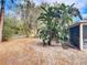 Backyard view showcasing tropical plants and a partially fenced area at 3054 Shallowford St, Deltona, FL 32738