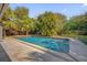 Inviting rectangular swimming pool surrounded by tropical plants at 145 Verbena Dr, Orlando, FL 32807