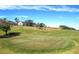 Aerial view of a putting green and surrounding landscape at 2311 Caledonian St, Clermont, FL 34711