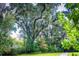 Majestic live oak trees draped in Spanish moss at 402 N Pollard St, Oakland, FL 34787