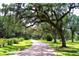 Long driveway shaded by sprawling oak trees with Spanish moss at 402 N Pollard St, Oakland, FL 34787