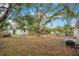 Large backyard with mature trees and ample space at 2913 W Amelia St, Orlando, FL 32805