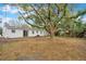 Large backyard with mature trees and ample space at 2913 W Amelia St, Orlando, FL 32805