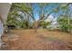 Large backyard with mature trees and ample space at 2913 W Amelia St, Orlando, FL 32805