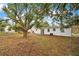 Large backyard with mature trees and ample space at 2913 W Amelia St, Orlando, FL 32805