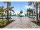 Community pool with lounge chairs and palm trees at 16133 Pebble Bluff Loop, Winter Garden, FL 34787