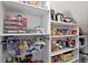 Well-organized pantry with ample shelving and pull-out drawers at 16926 Reseda Aly, Winter Garden, FL 34787