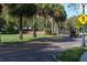 Palm tree-lined street with golf cart, showcasing Winter Garden's pedestrian-friendly design at 16926 Reseda Aly, Winter Garden, FL 34787