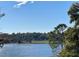 Scenic view of lake and trees under a blue sky at 3250 Corona Village Way # 302, Orlando, FL 32835