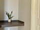 Small shelf with a snake plant at 3250 Corona Village Way # 302, Orlando, FL 32835