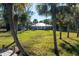 House with lush green backyard and palm trees at 9229 Lake Hickory Nut Dr, Winter Garden, FL 34787