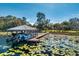 Covered boat dock with a lift on a lily pad-filled lake at 9229 Lake Hickory Nut Dr, Winter Garden, FL 34787