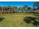 Calm lake view with palm trees and a dock in the distance at 9229 Lake Hickory Nut Dr, Winter Garden, FL 34787