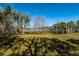 Expansive lake view with lush vegetation and a dock at 9229 Lake Hickory Nut Dr, Winter Garden, FL 34787