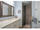 Bathroom features a walk-in shower, vanity with sink, large framed mirror, and modern fixtures at 11900 Lake Butler Blvd, Windermere, FL 34786