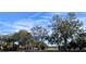 Residential street view with mature trees and homes at 3667 Kingswood Ct, Clermont, FL 34711