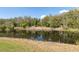 Peaceful pond view, reflecting the surrounding lush greenery and blue sky at 6121 Bass Hwy, St Cloud, FL 34771