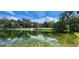 Aerial view of a tranquil community with lush greenery and a serene spring at 203 Crown Oaks Way # 202, Longwood, FL 32779