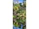 Serene river reflecting lush trees and a wooden bridge at 203 Crown Oaks Way # 202, Longwood, FL 32779