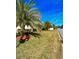 Landscaped yard with palm trees and manicured lawn at 5114 Jareds Landing Way, Oxford, FL 34484