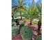 Neatly landscaped area with palm trees and shrubs at 5114 Jareds Landing Way, Oxford, FL 34484