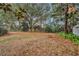 Large backyard with mature trees and a wooden fence at 1719 Finley Ave, Apopka, FL 32703