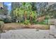 Large backyard patio with palm tree and surrounding greenery at 1719 Finley Ave, Apopka, FL 32703