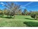 Large grassy backyard with mature trees, offering ample space for outdoor activities at 3138 Dark Sky Dr, Harmony, FL 34773