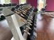 Modern gym with a variety of dumbbells at 3201 Gold Ln, Kissimmee, FL 34747