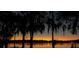 Sunset view over lake with silhouetted trees at 491 Carolyn Dr, Oviedo, FL 32765