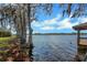 Scenic lakefront view with lush trees at 491 Carolyn Dr, Oviedo, FL 32765