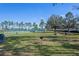 Community grilling area with picnic tables near tennis courts at 820 Spring Oak Cir, Orlando, FL 32828